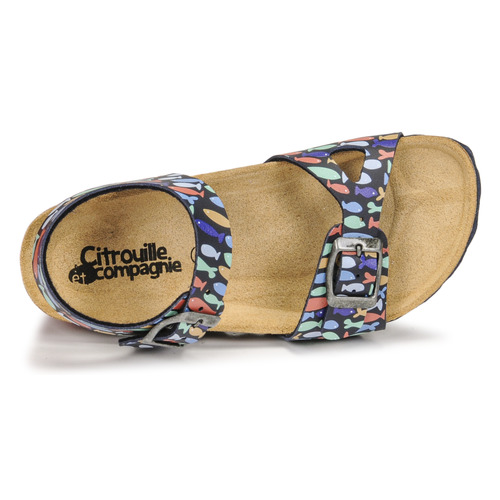 Citrouille et Compagnie - RELUNE - Multicolore