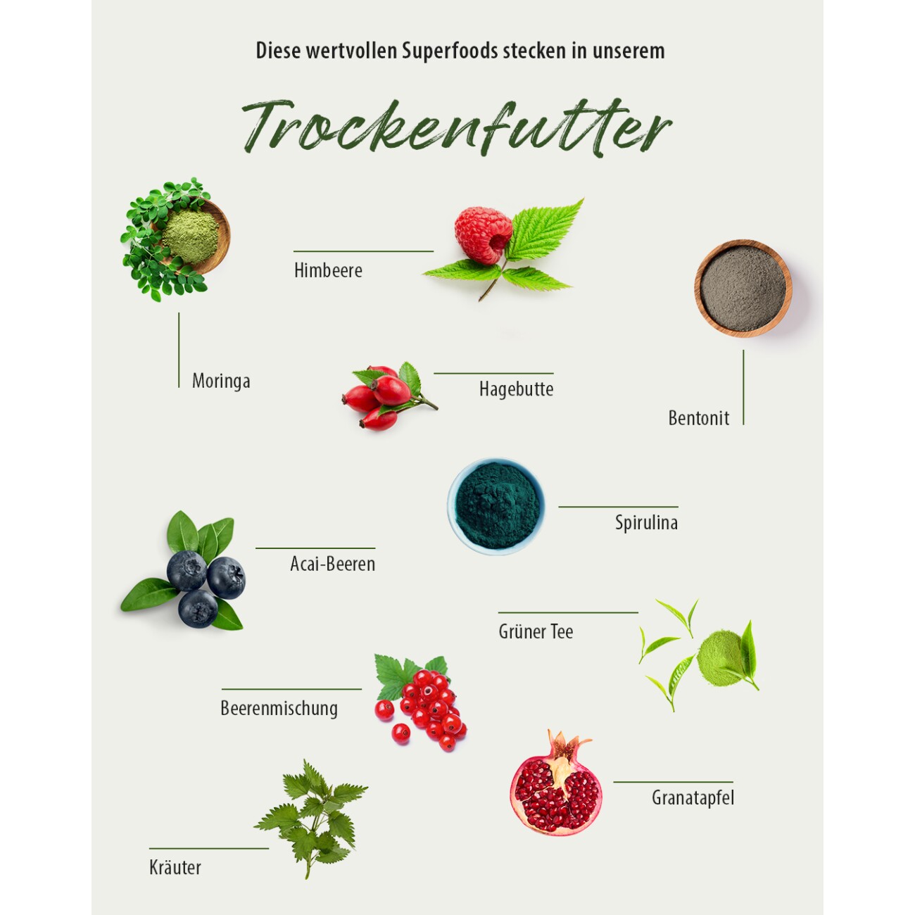 GREEN PAWLY ® Trockenfutter, Huhn Complete + 10 Superfoods 5 kg