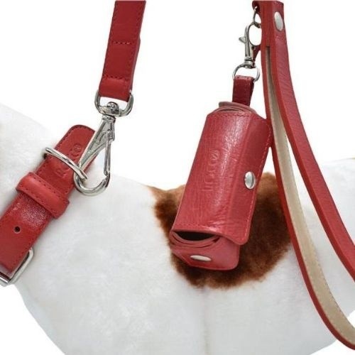 Conjunto Leal Rocco coleira vermelha para cães