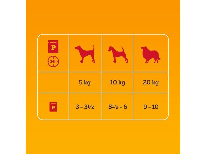 Pedigree Nassfutter Senior in Gelee, 12 x 100 g Ausgewogene Mahlzeiten für ältere Hunde