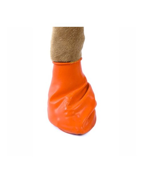 Pawz Rubber Dog Boots - Hondenschoen - Oranje X-Small