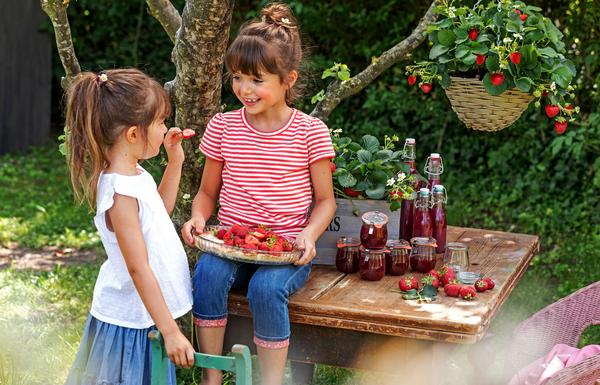 Erdbeer-Set Erdbeer-Sommer, 4 Sorten,