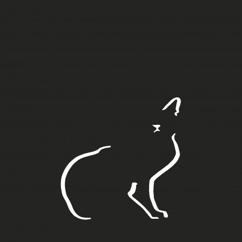 Ilustração de um gato doméstico sem moldura, na cor preta.