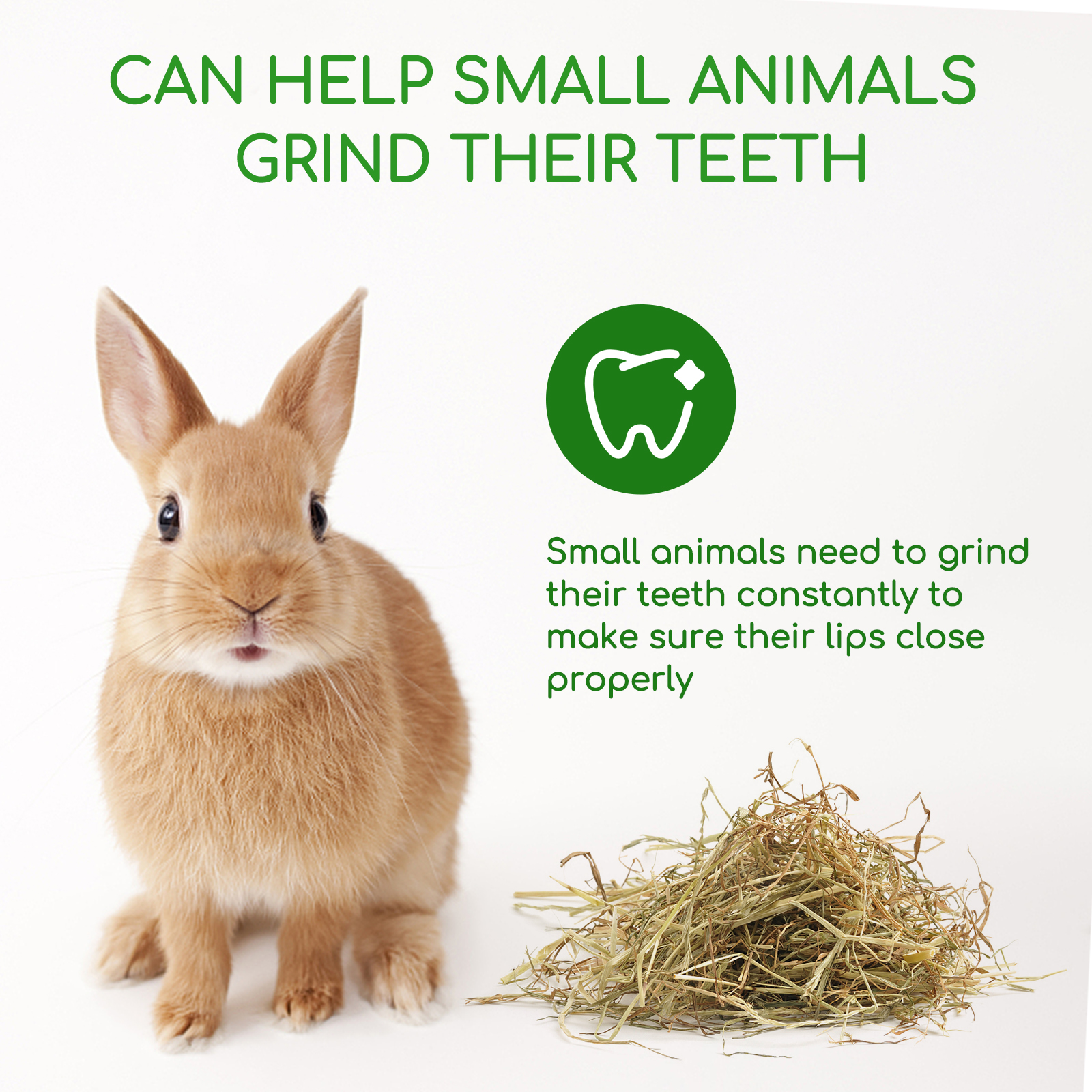 Nobleza - (1kg) Feno para Coelhos, Alimento Premium para Coelhos Adultos, Alimento com Fibras para o Desgaste Dentário e Saúde Dental