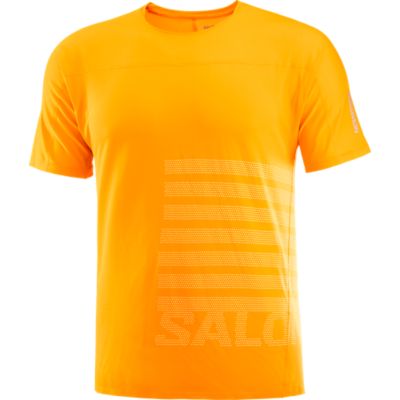 SalomonSense Aero GFX - gelb