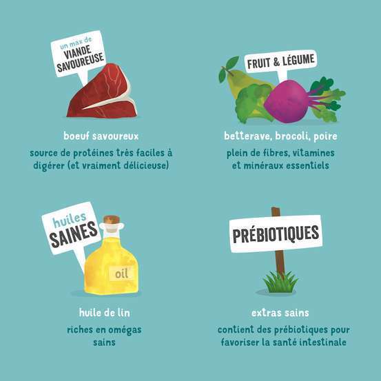 Boite Chiens Adultes Sans Céréales Bœuf frais 400g