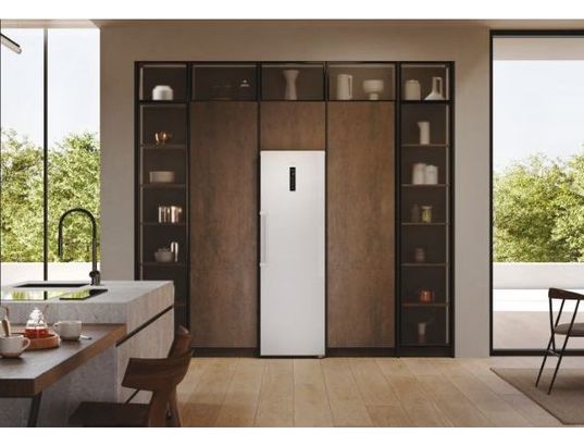 HAIER - Congélateur armoire H4F306WDH1