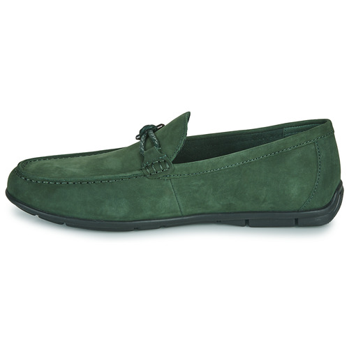Aldo - LEANGELO - Vert