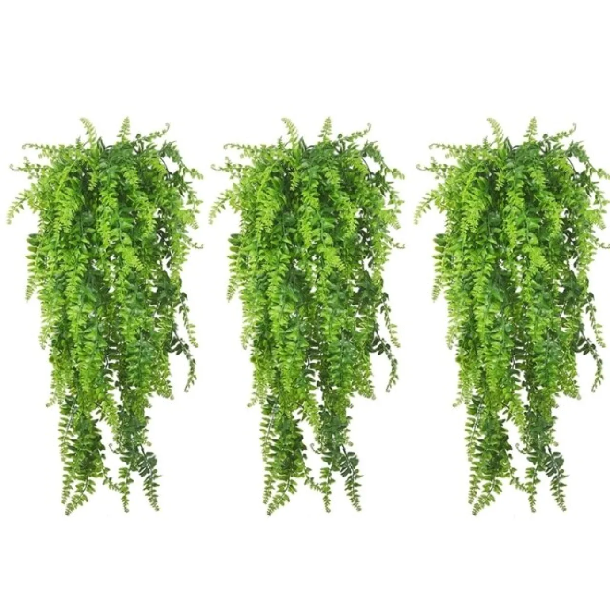 Universal Plantes Reptiles Suspendues