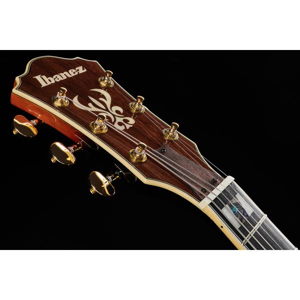 Ibanez AS113-BS