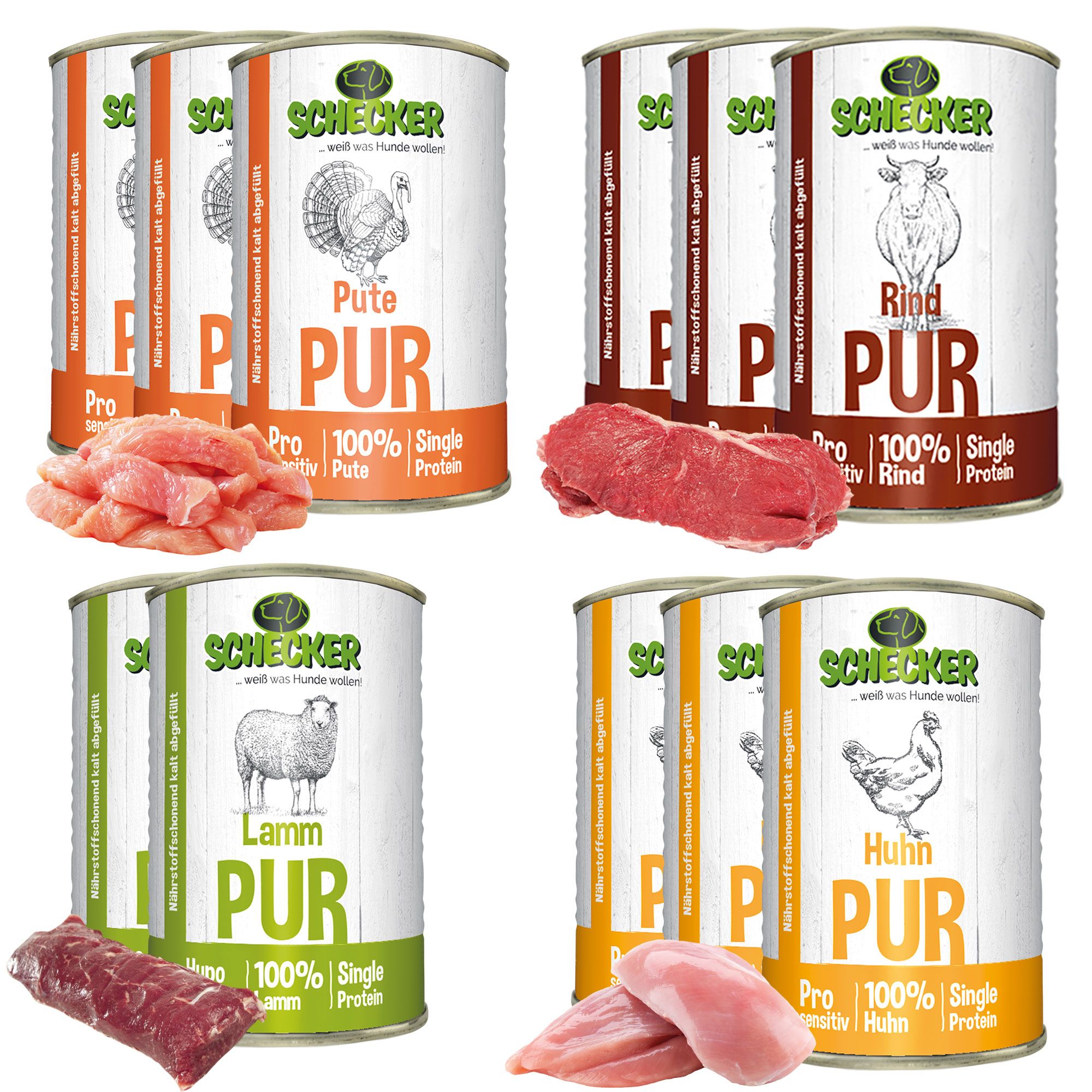 Schecker Nassfutter - Pur 11-er - Test the Best