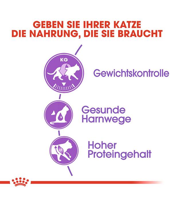 ROYAL CANIN® Trockenfutter für Katzen