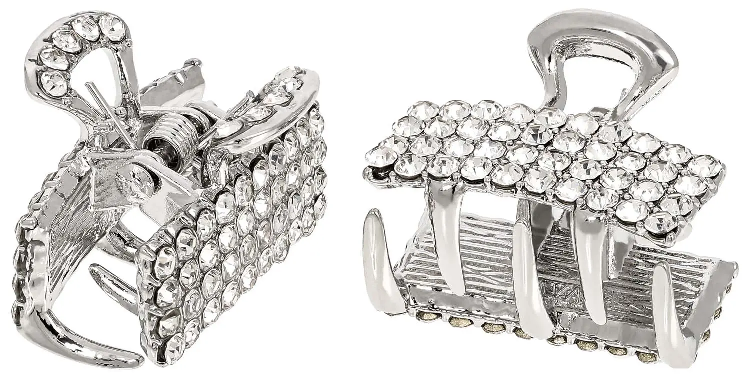 Haarklammer-Set - Silver Minis