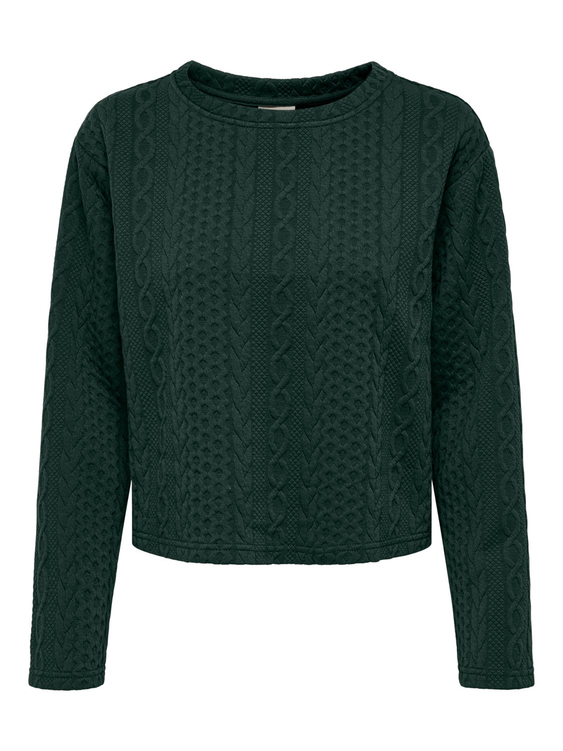 JDYFIOLA Sweatshirt Scarab