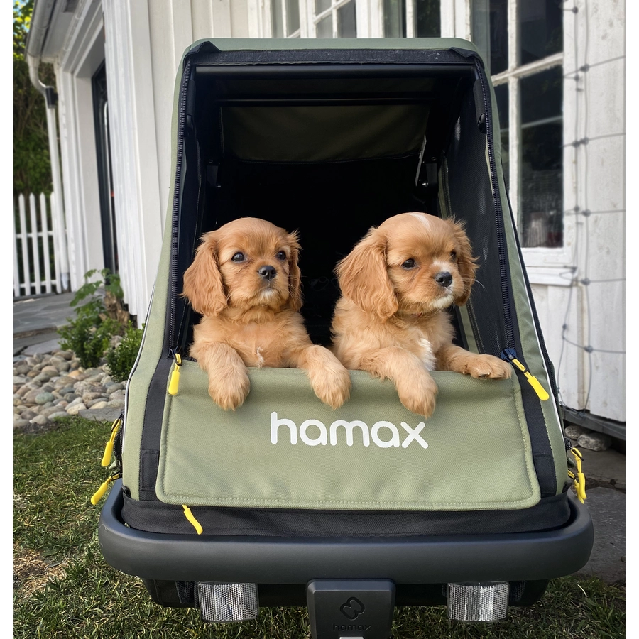 hamax Hundeanhänger Pluto M greenblack