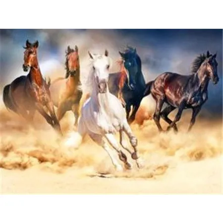 Pracht Diamond Painting Galoppierende Pferde (Design 25x35cm)