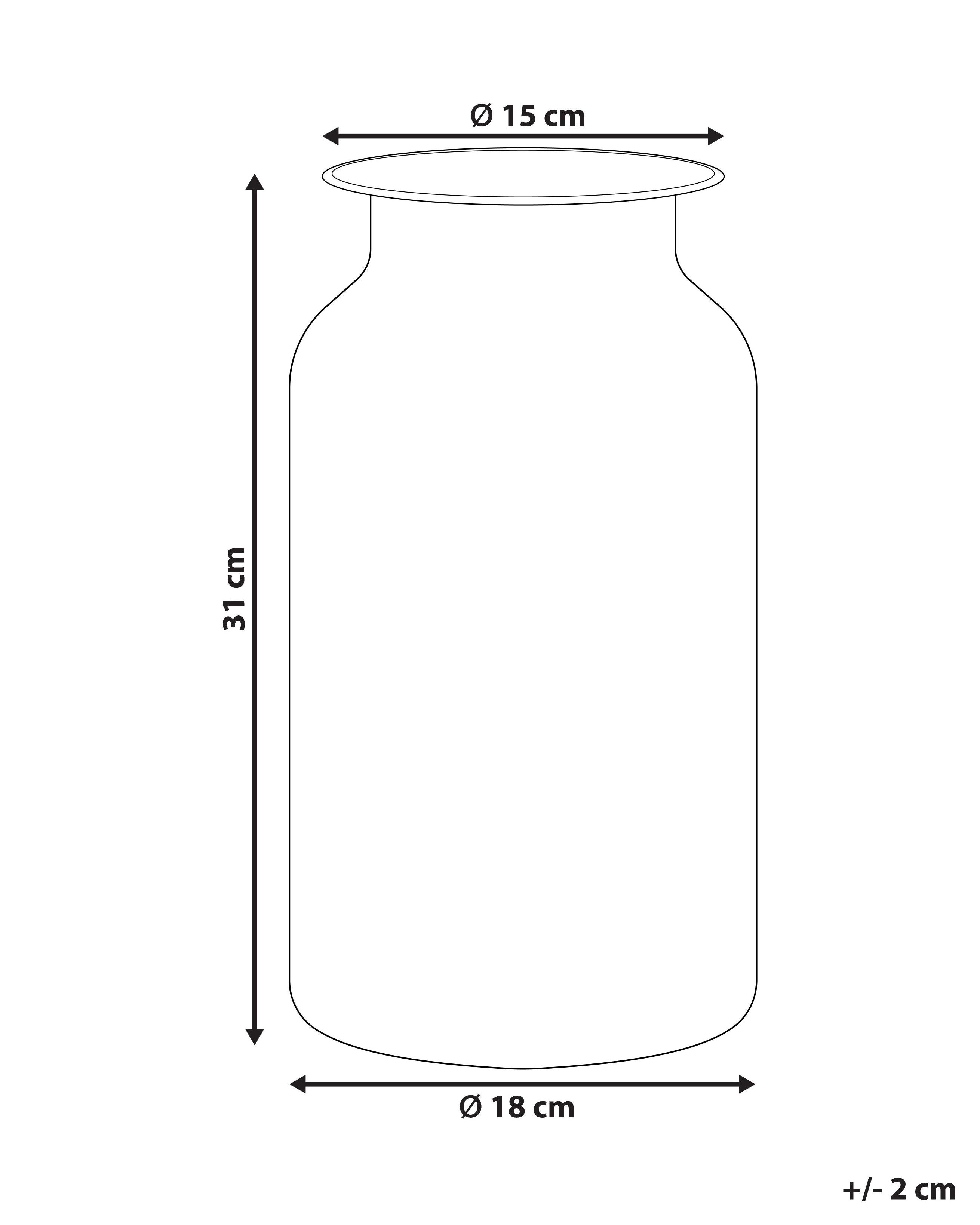 Bloemenvaas BHATURE Glas 30 cm Meerkleurig