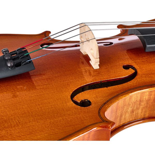 Alfred Stingl by Höfner AS-170-VA Viola Set 16