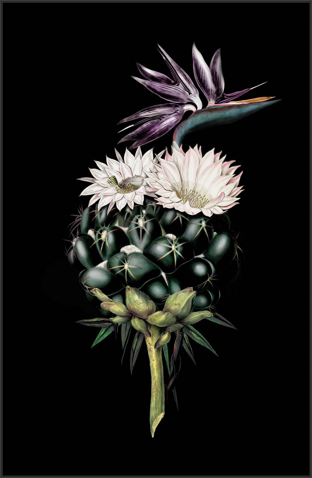 Strelitziacactus by Rive Roshan - Limited Edition. Edition of: 150. Signed.