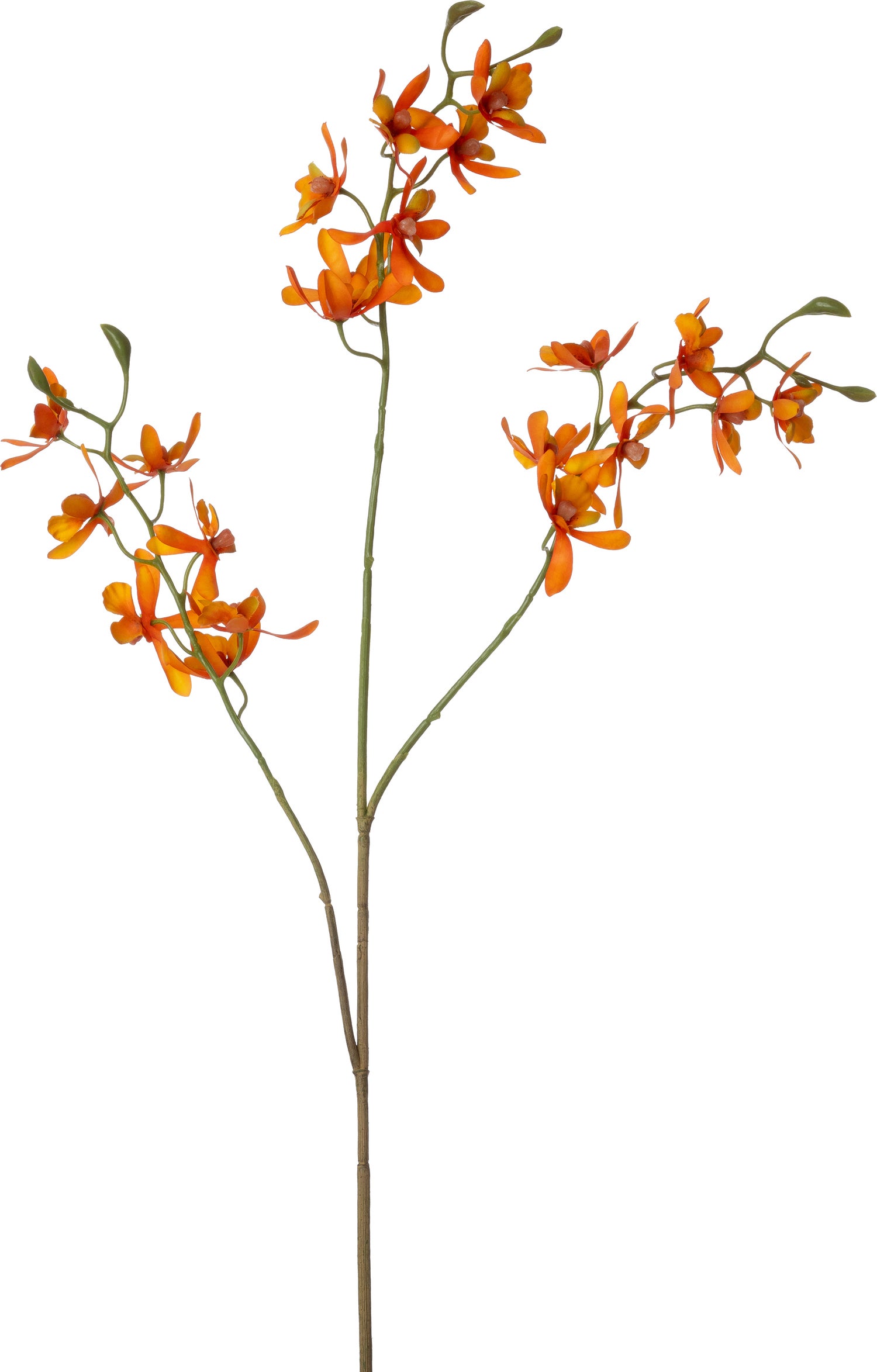 Intratuin kunstbloem Kattenstaartorchidee oranje 72 cm