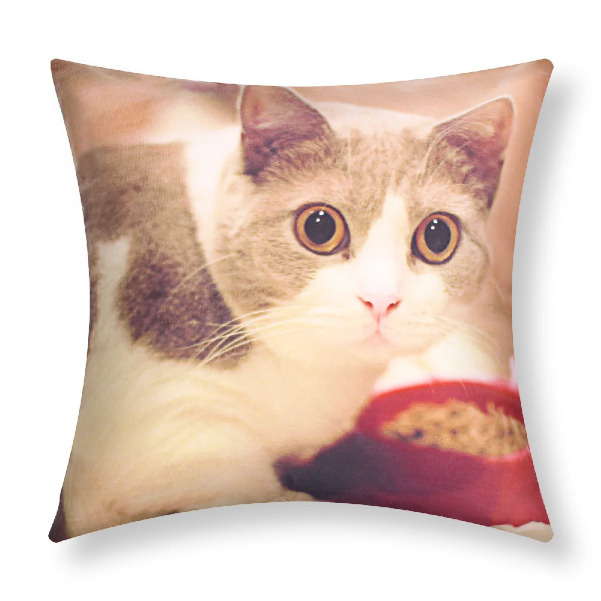 Lot de 2 housses de coussin AVIZAR - Motif Chat Gamelle