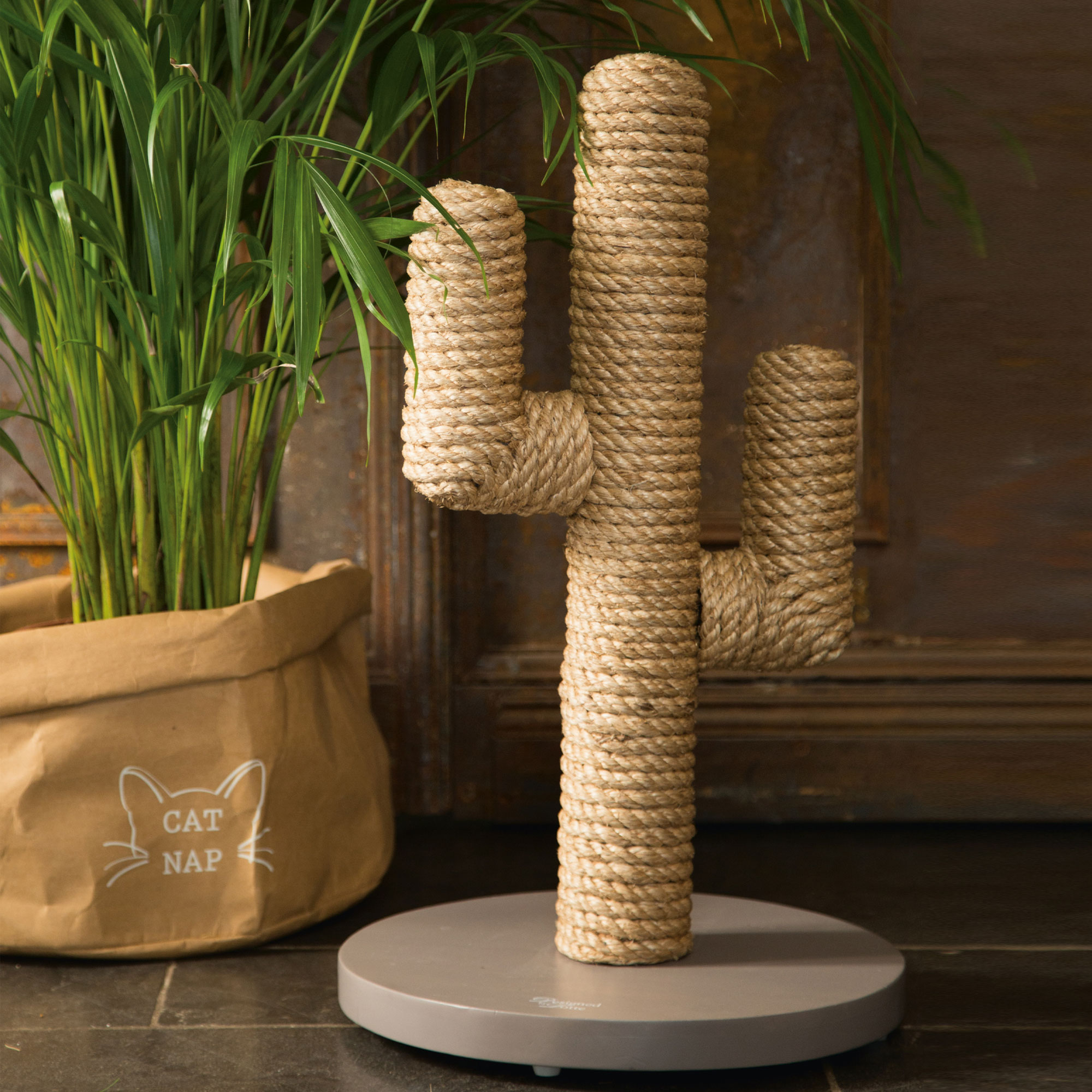 Designed by Lotte Krabpaal Cactus