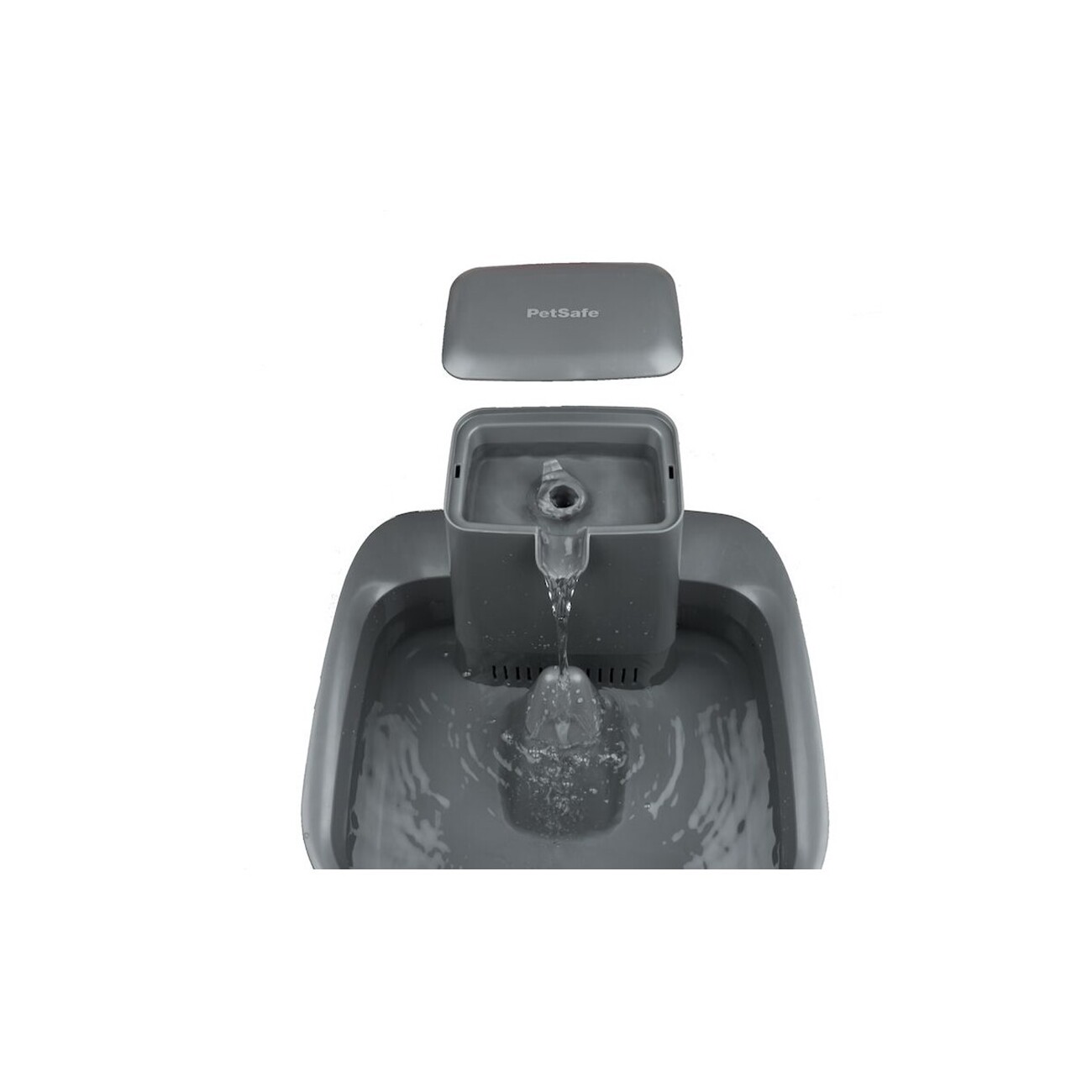 PetSafe Trinkbrunnen 7,5 l