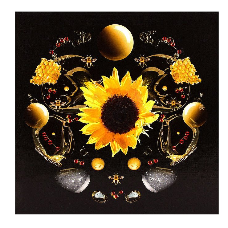 Coffret Noël 2017 Reines