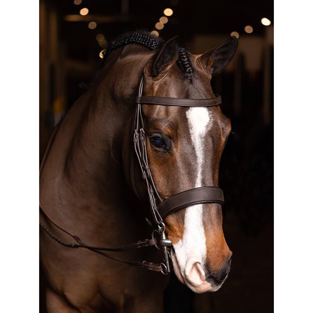 Hoofdstel LeMieux Flat Hunter Bruin