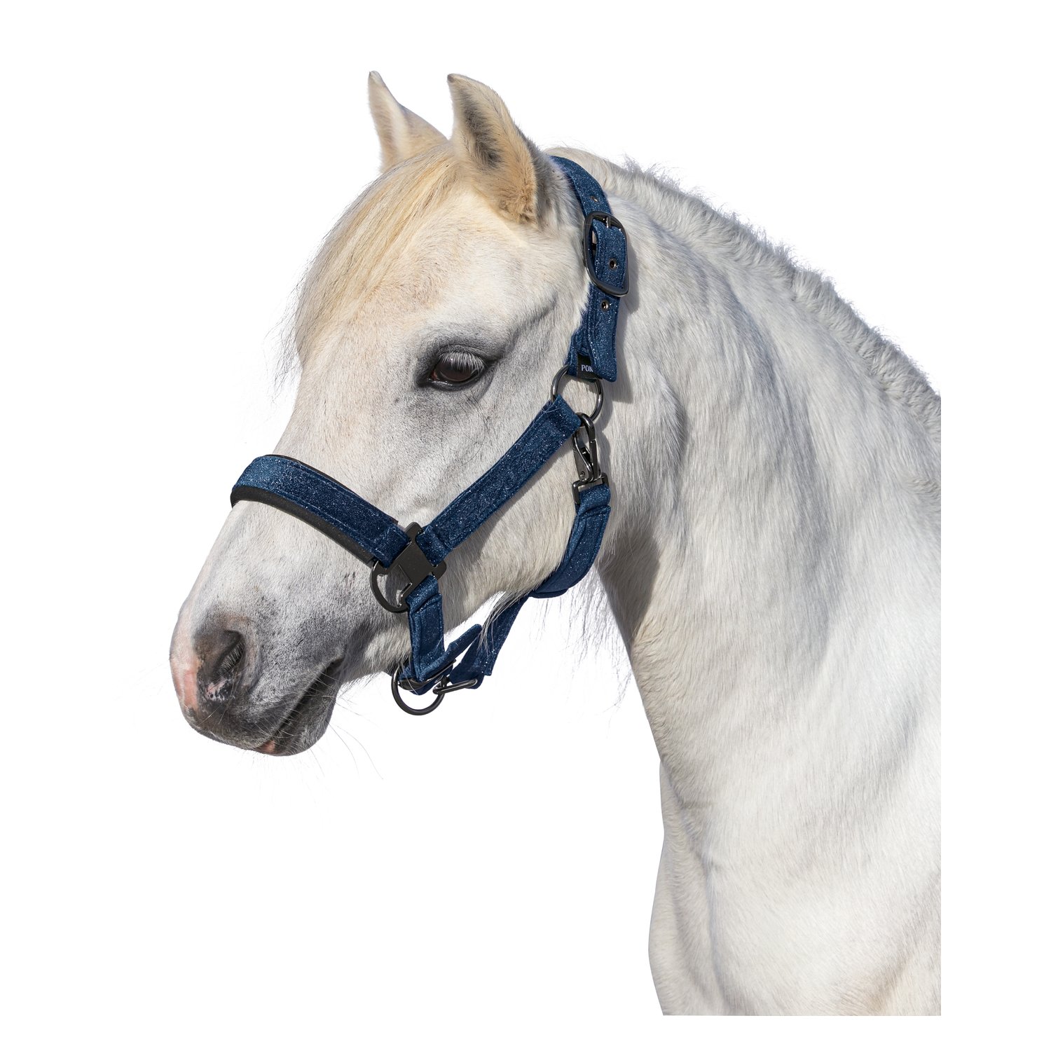 Horse-friends Halfter Athina  - navy