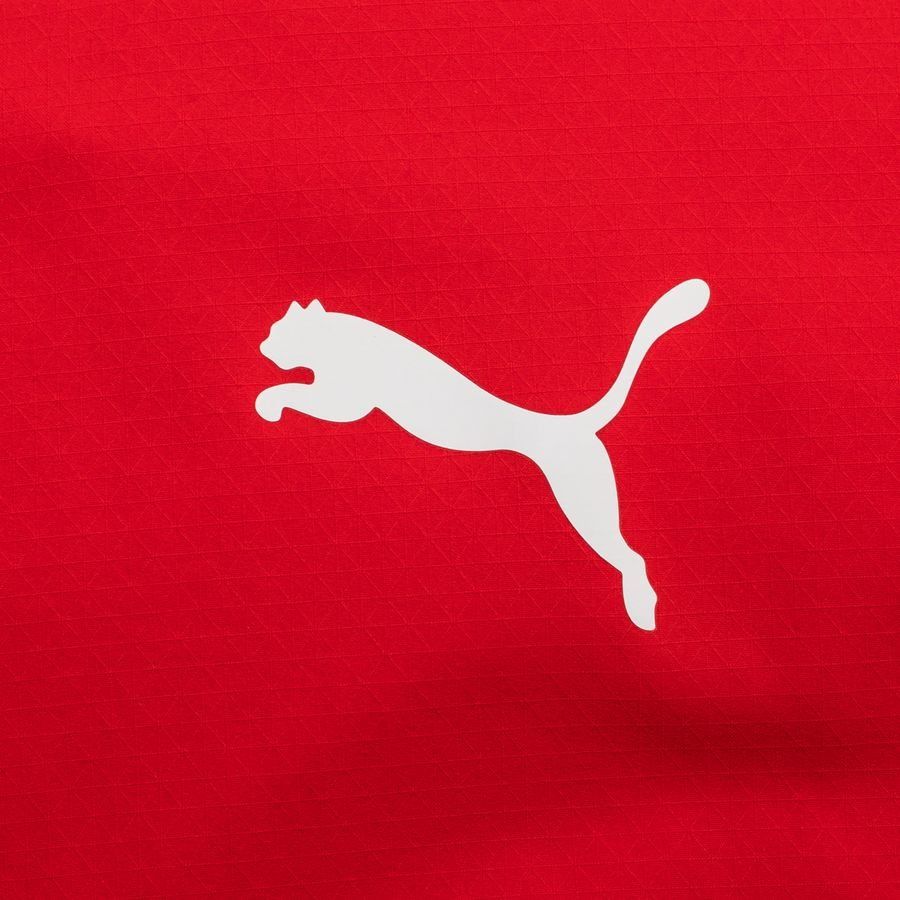 PUMA T-shirt d'Entraînement teamFINAL - Rouge