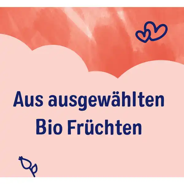 Bio Früchte Tee