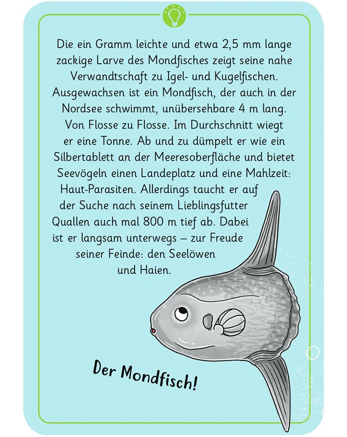 Quizspiel 50 WUNDERSAME TIERRÄTSEL - MEER UND STRAND