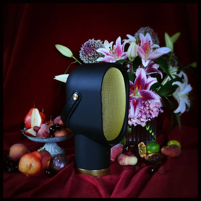 Elipson Lenny Noir Enceintes Bluetooth portables