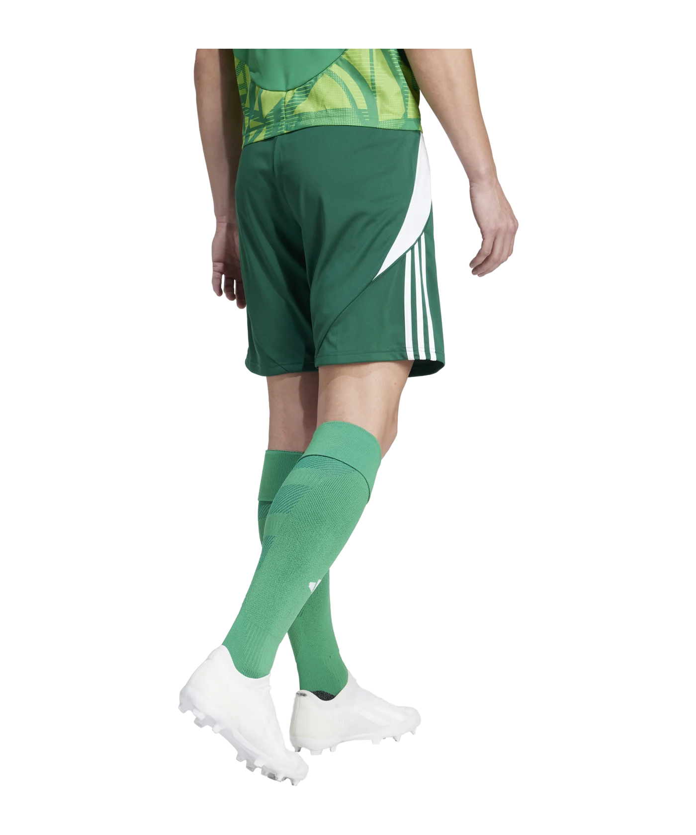 adidas Tiro 24 Short Grün Weiss