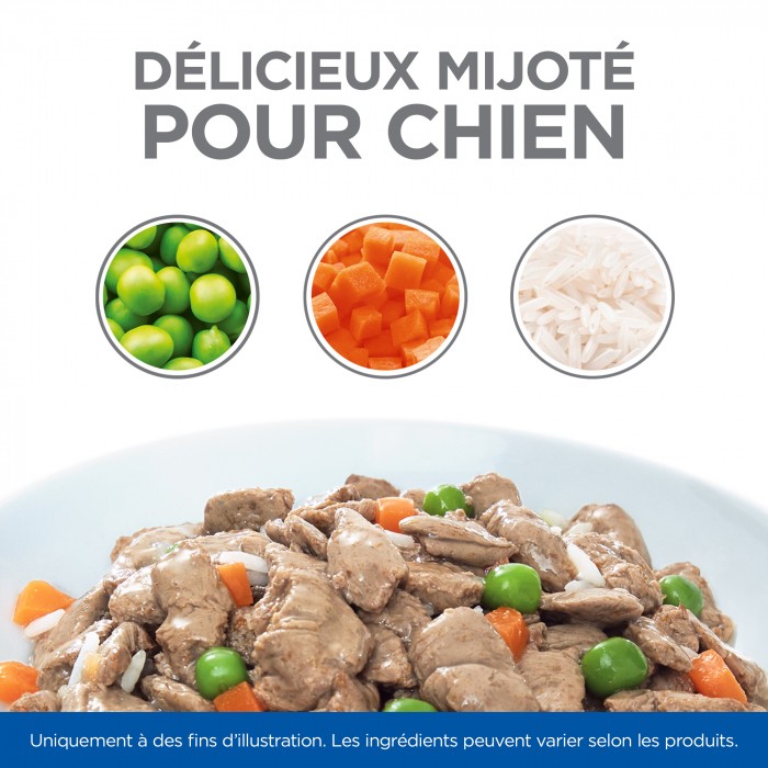 HILL'S Science Plan Healthy Cuisine Medium & Large Adult en Mijotés – Pâtée pour chien