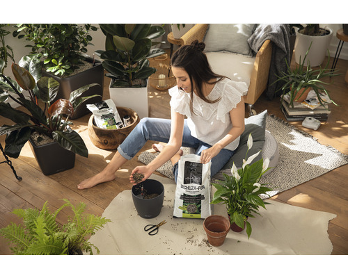 Lechuza Cubico Cottage 30 plantenbak, kunststof, L x B 29,5 x 29,5 cm, H 56,5 cm, granieten afwerking, inclusief 6 L substraat