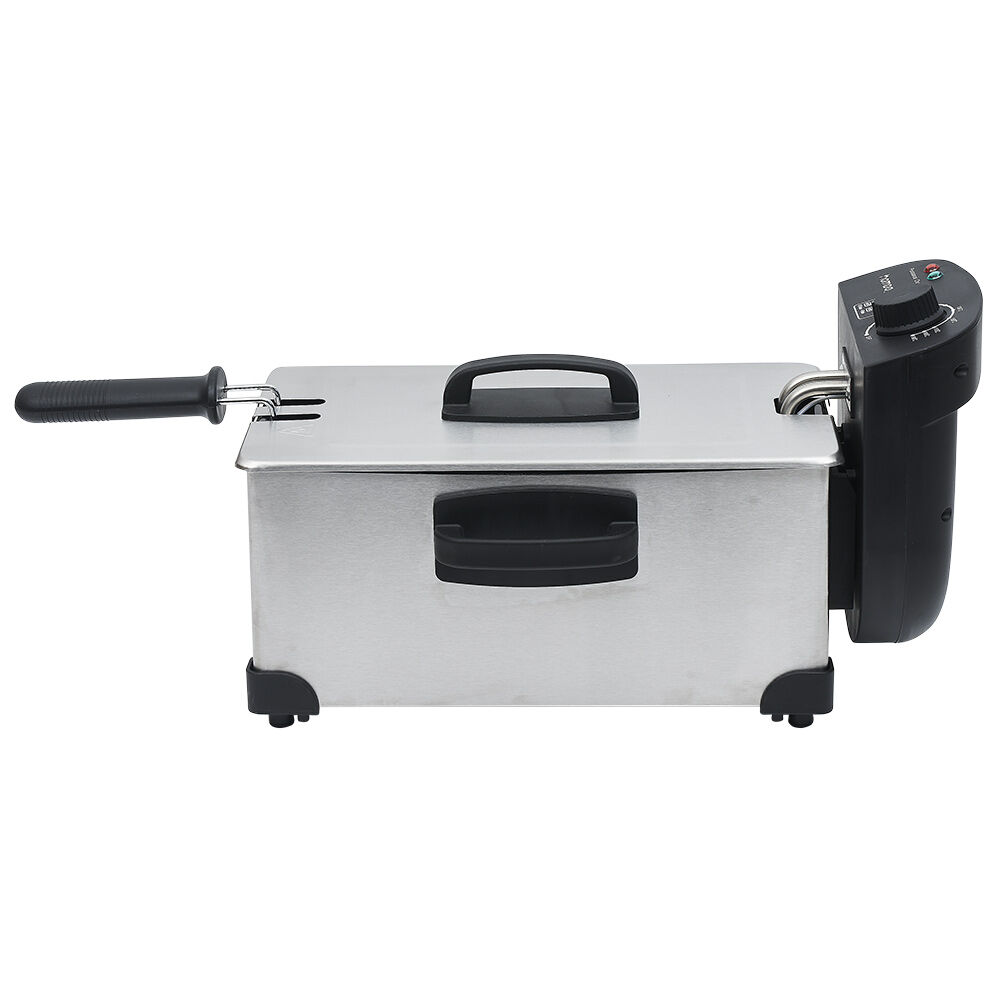 Friteuse électrique Homday amovible en inox 3L