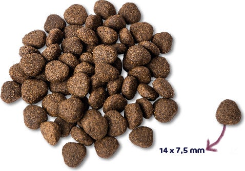 Renske Super Premium droogvoeding verse zalm graanvrij 2 kg