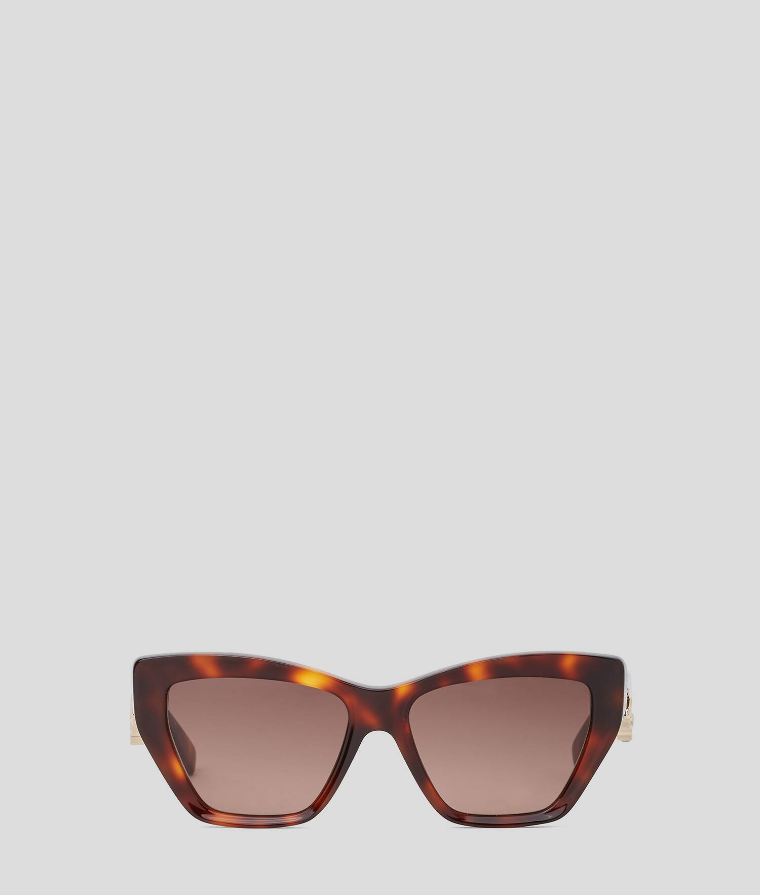 LUNETTES DE SOLEIL AVEC LOGO DÉCOUPÉ KARL SIGNATURE - Tortue