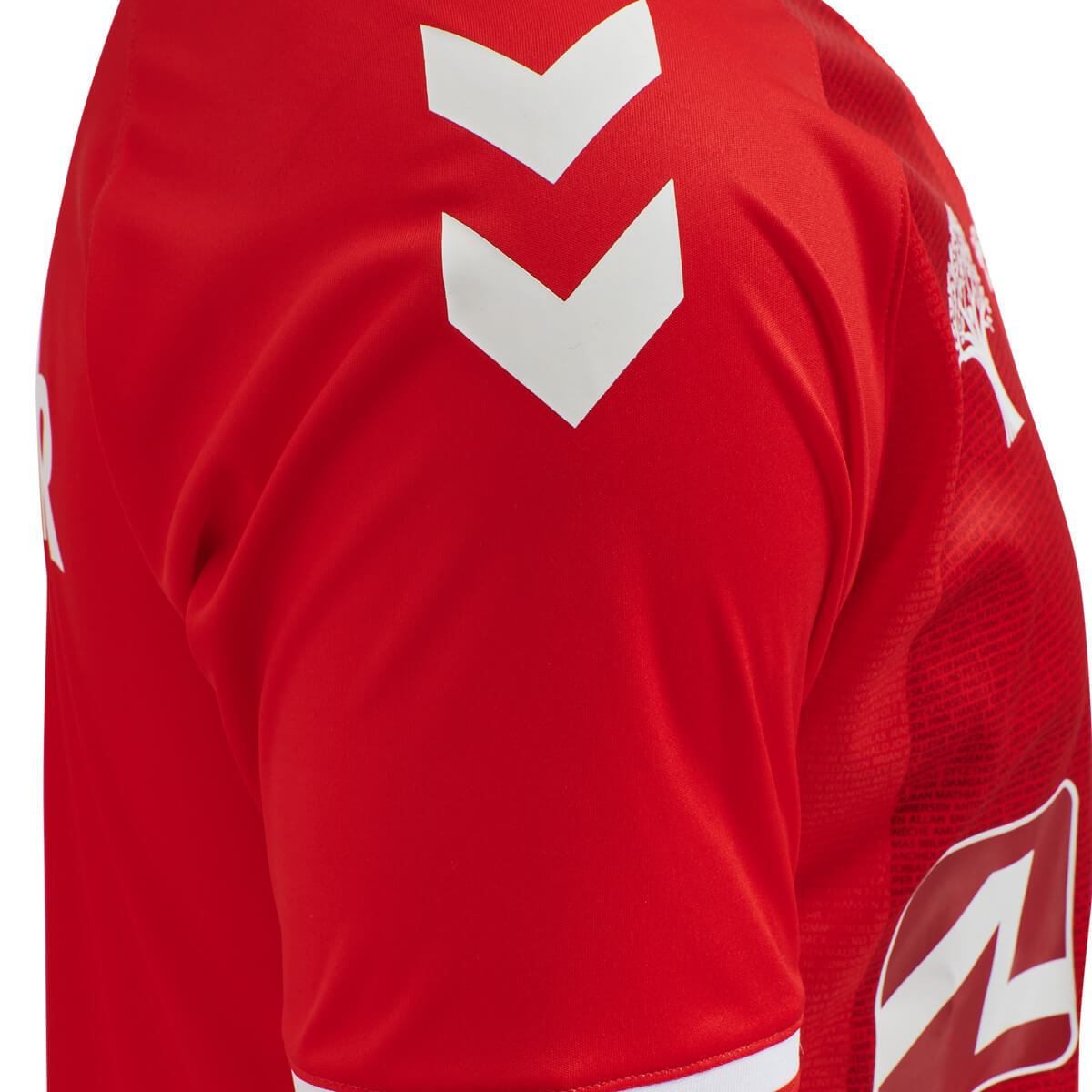 hummel Vejle B Hjemmebanetrøje 21/22 Herre