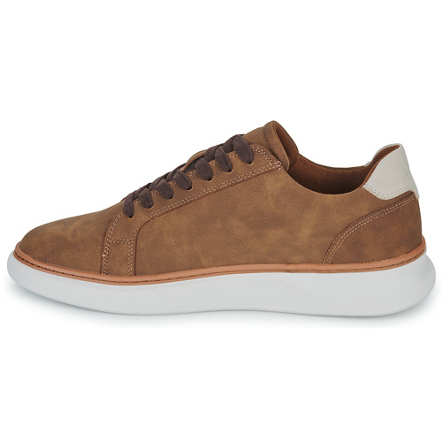 Aldo - DEERFORD - Marron