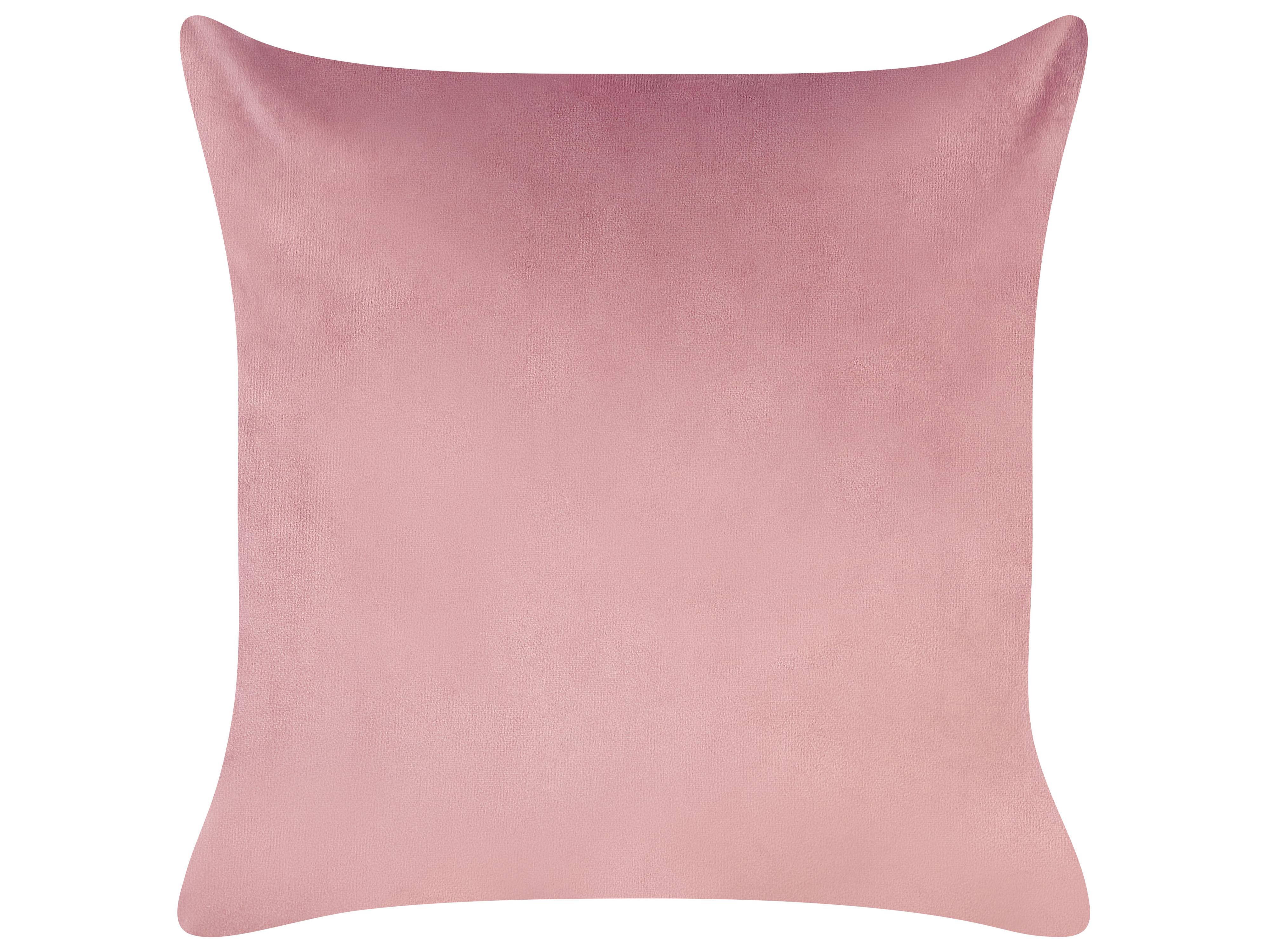 Set van 2 sierkussens CARANDAY Fluweel 45 x 45 cm Roze bladpatroon