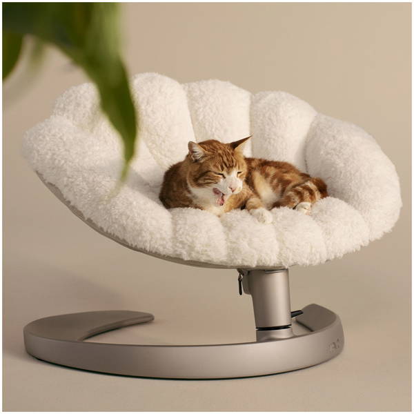 Tavo PetsTavo Pets   Shell schwingendes Haustierbett latte