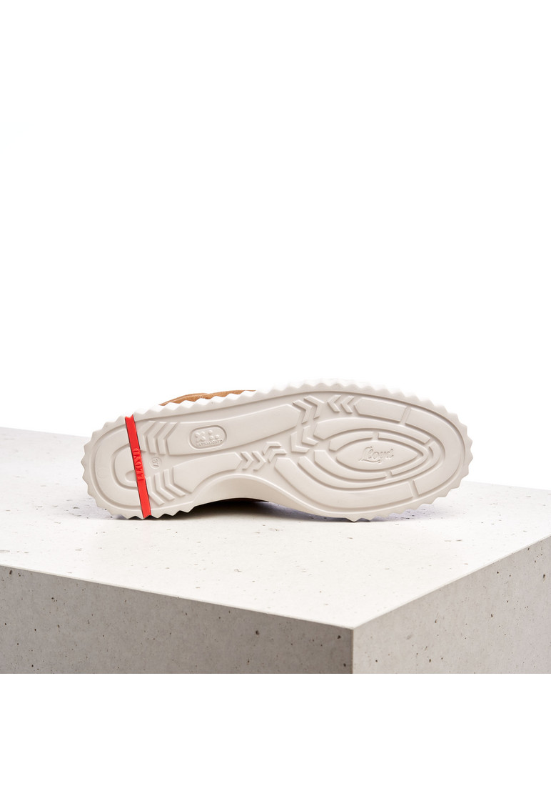 SNEAKER Braun