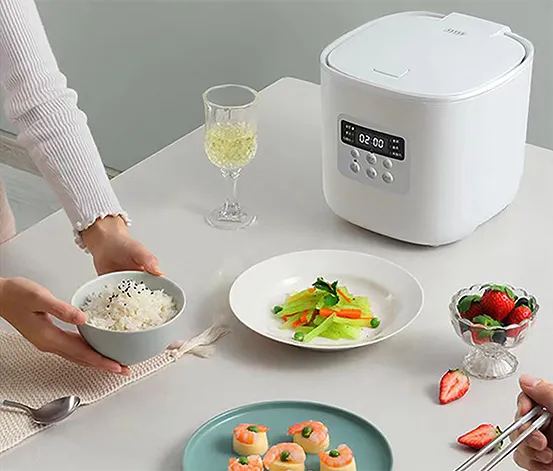 Low Carb Reiskocher »RC100F16 D02«