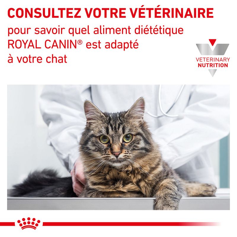 Royal Canin Veterinary Renal à prix discount sur bitiba.fr