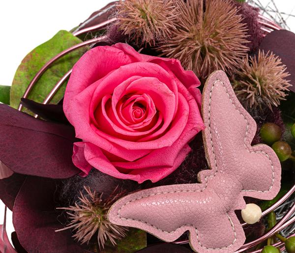 Dehner Keramik-Schale mit Longlife-Rose