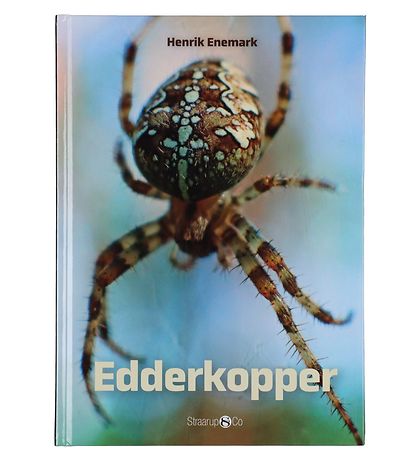 Straarup & Co Sampak - Spil & L?s - Edderkopper
