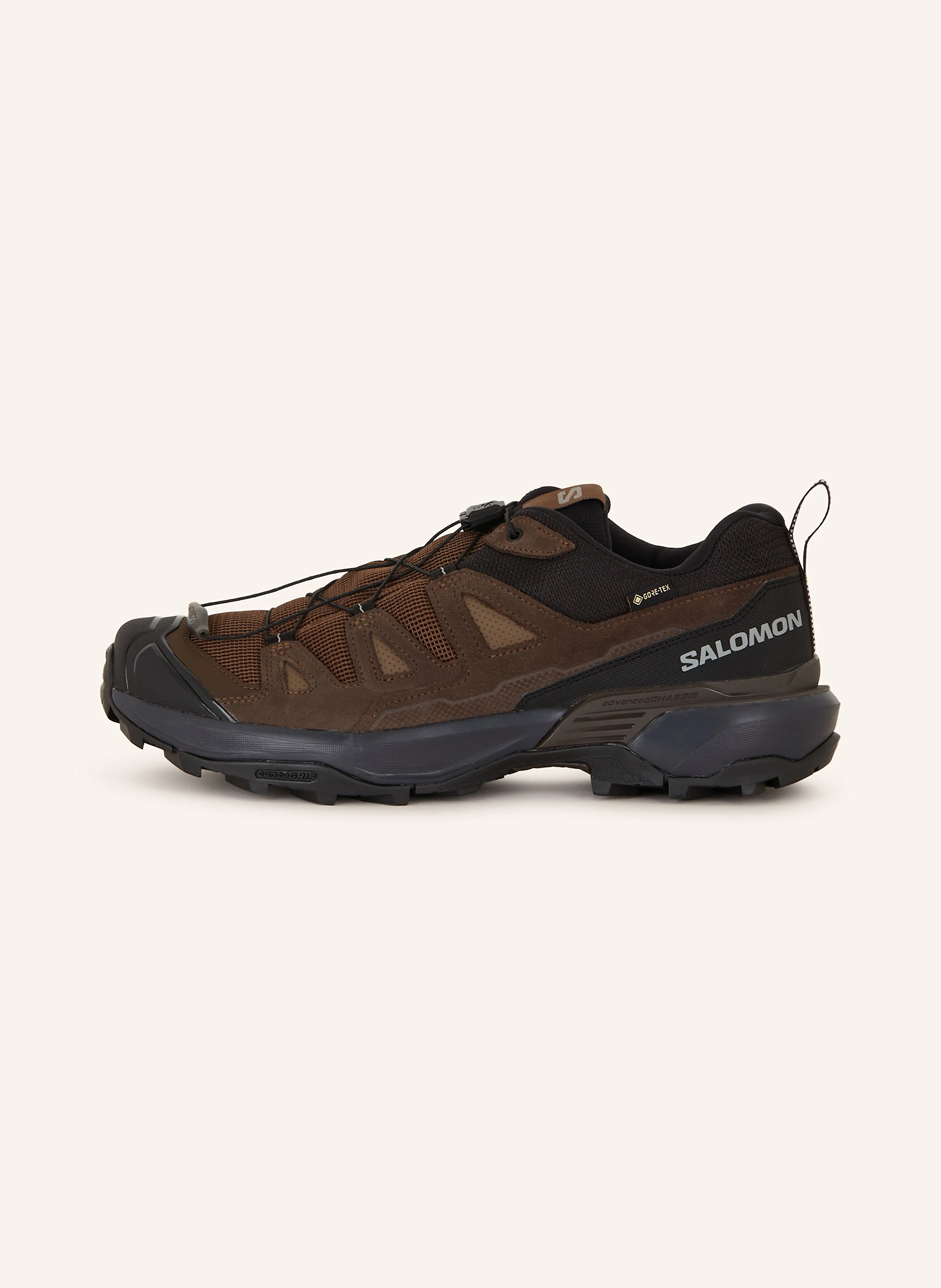 SALOMON Trekkingschuhe X ULTRA 360 LEATHER GTX